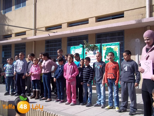 treesnewzahra2 (1).jpg